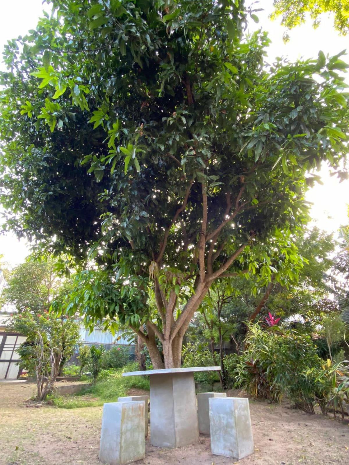 Sujatha Villa Paradise Tangalle Exterior photo